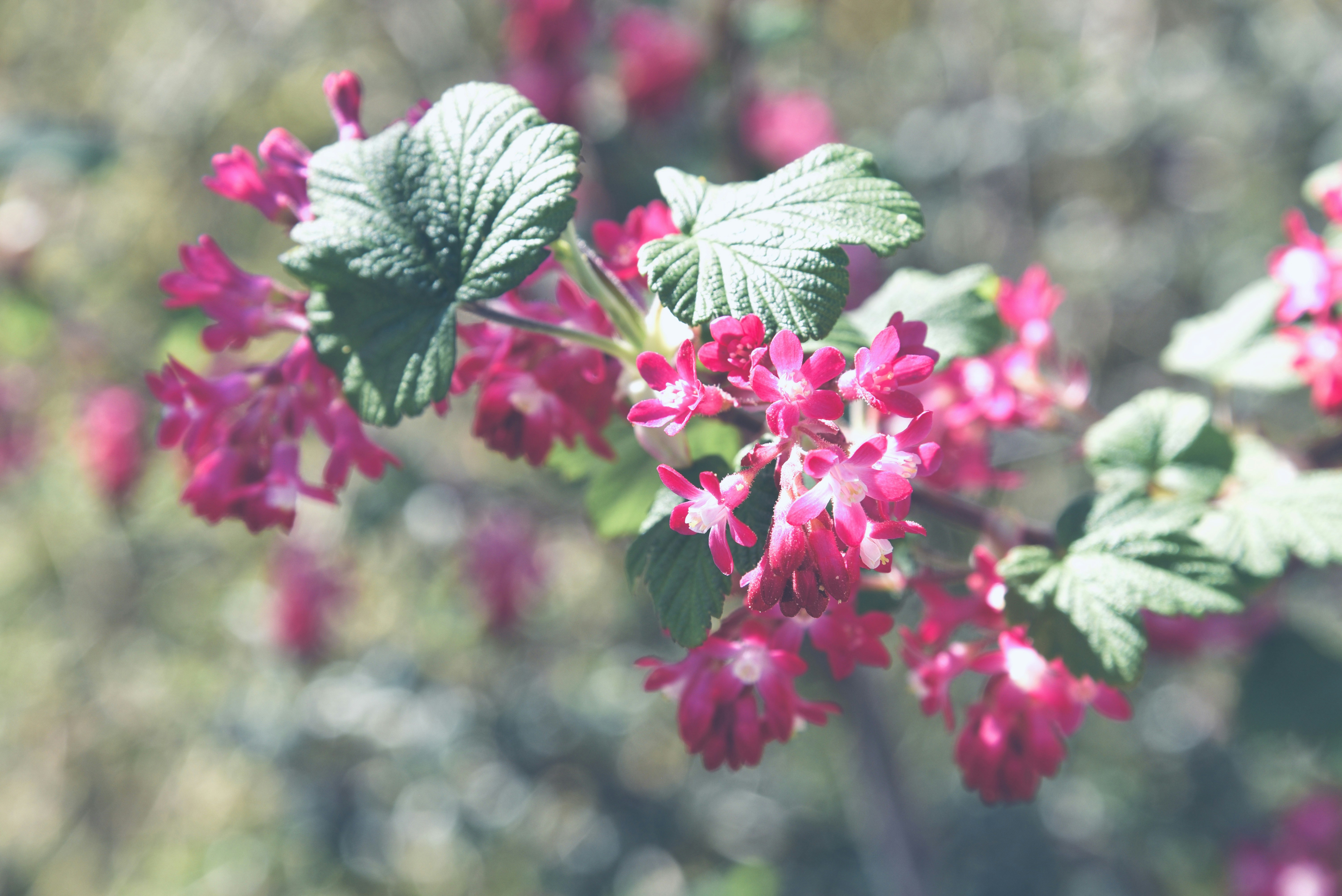 Photo by tabeayulia