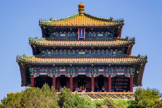 brown and green temple surrounded by green trees during daytime in The Palace Museum China