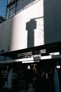 The photo captures an urban storefront with the sign 'Søstrene Grene' under a tall building. A large shadow of a shape is cast on the building's white facade. The lower part of the image shows the entrance to the store with people entering or passing by.