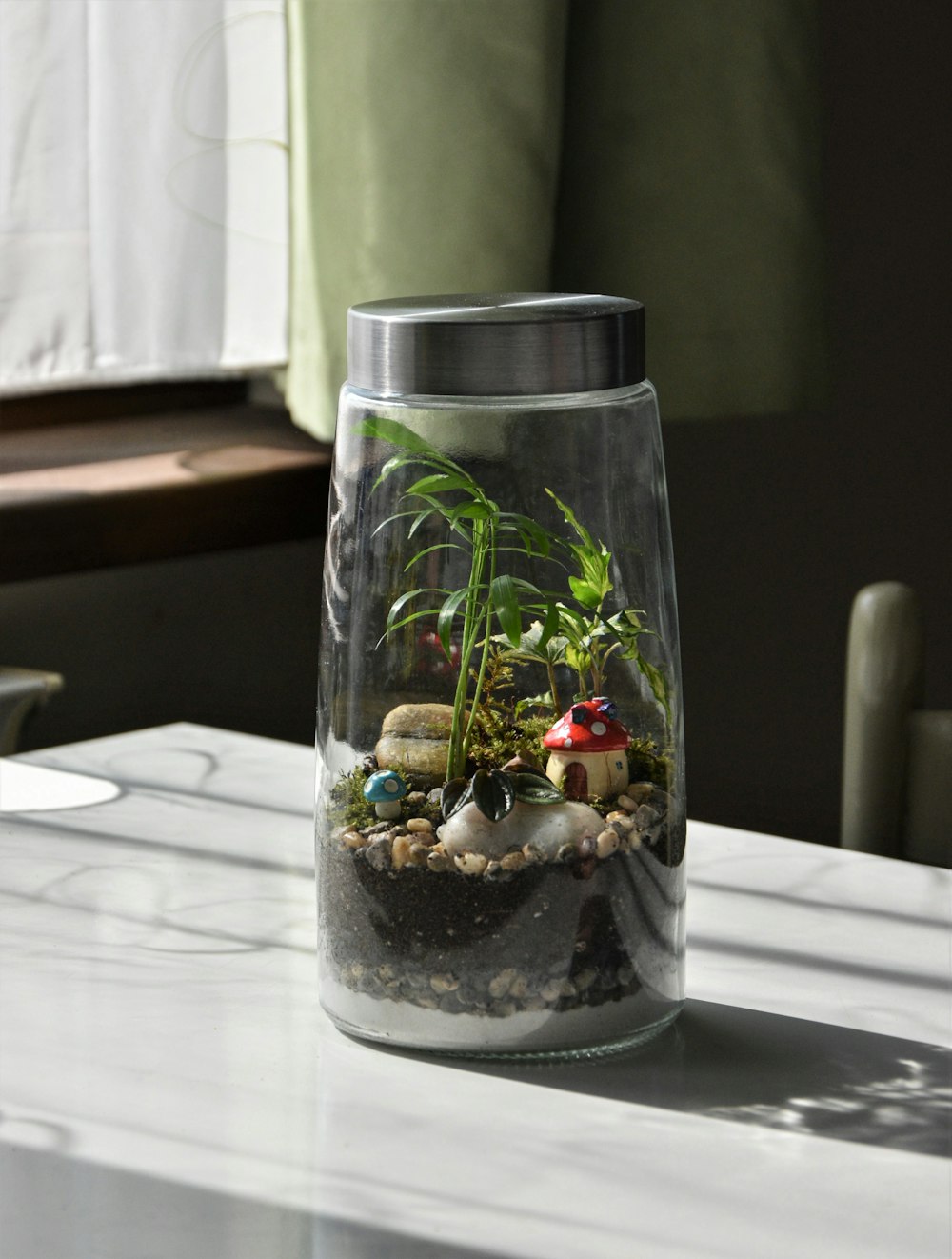 clear glass jar with green plant