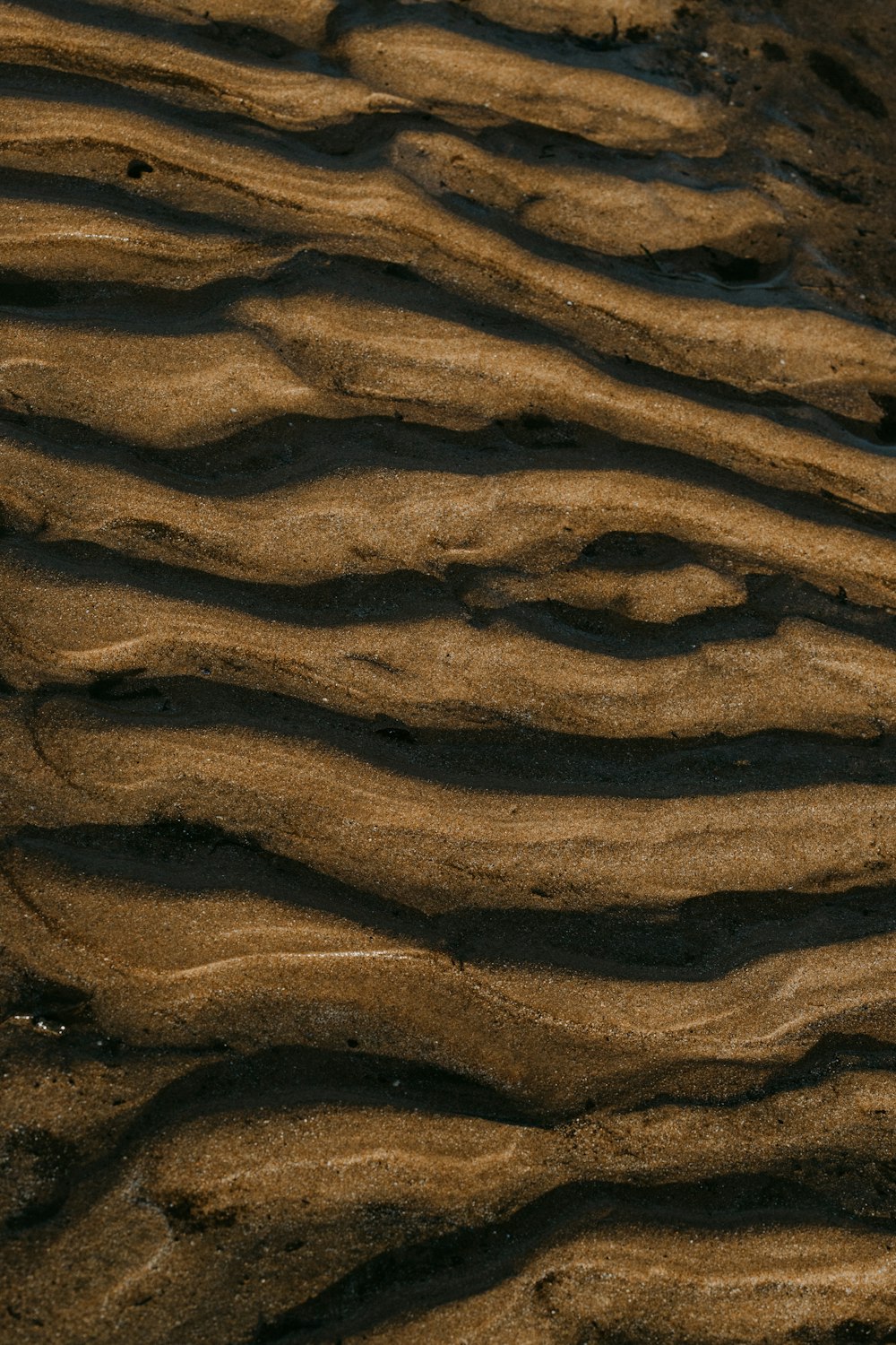 brown sand with footprints during daytime