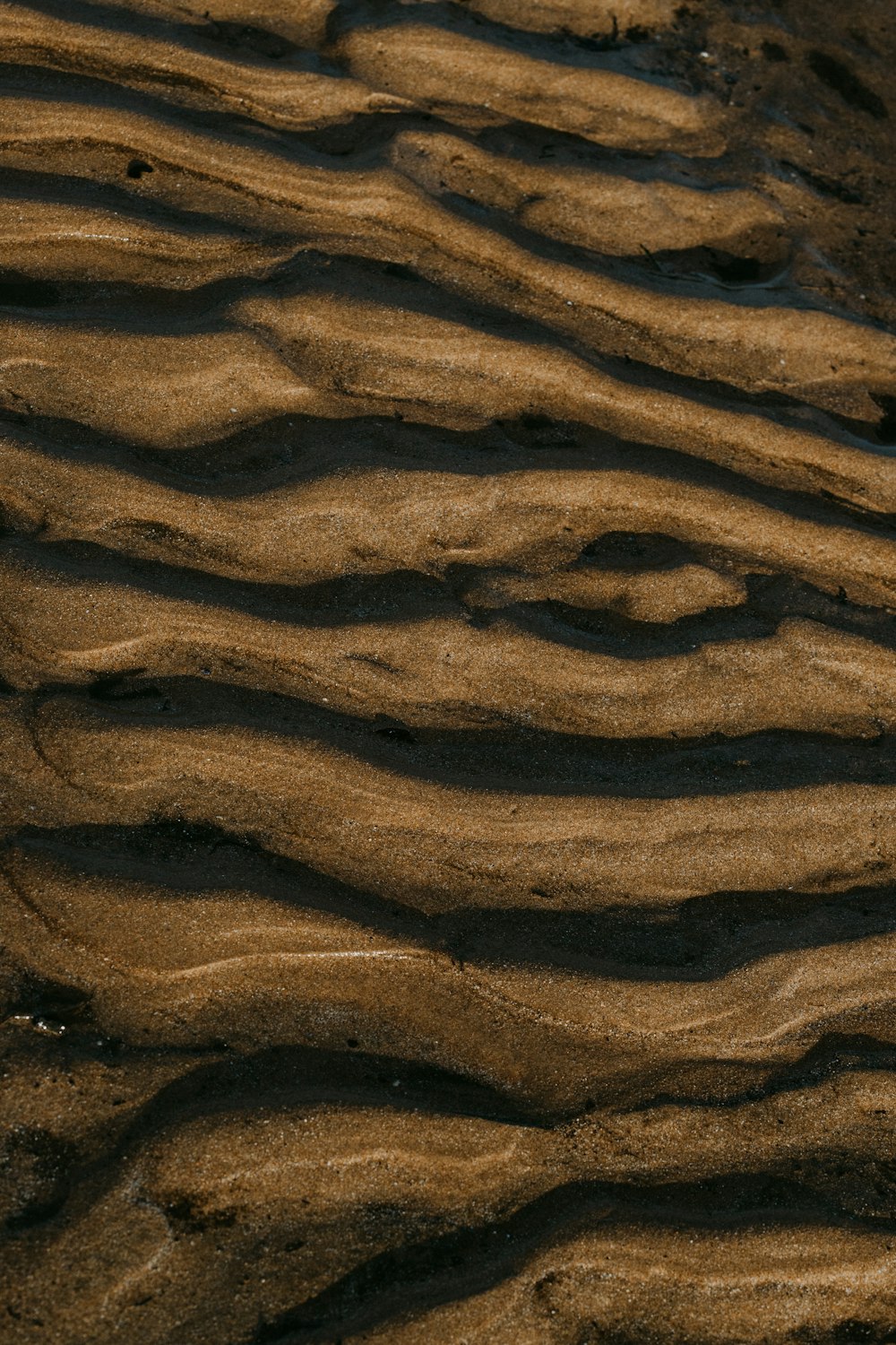 Arena marrón con huellas durante el día