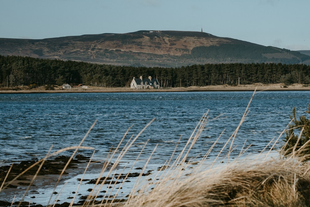 white boat on sea near green grass field during daytime