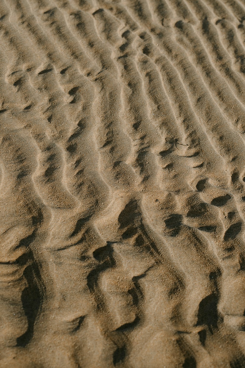 낮에 발자국이있는 갈색 모래