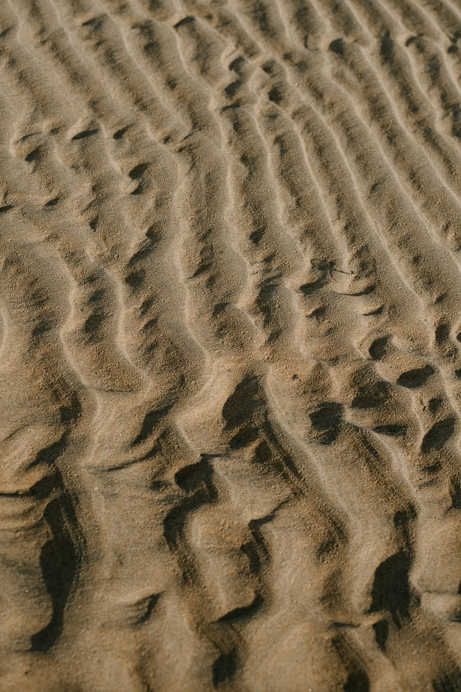 Canon EOS 6D Mark II + Canon EF 100mm F2.8 Macro USM sample photo. Brown sand with footprints photography