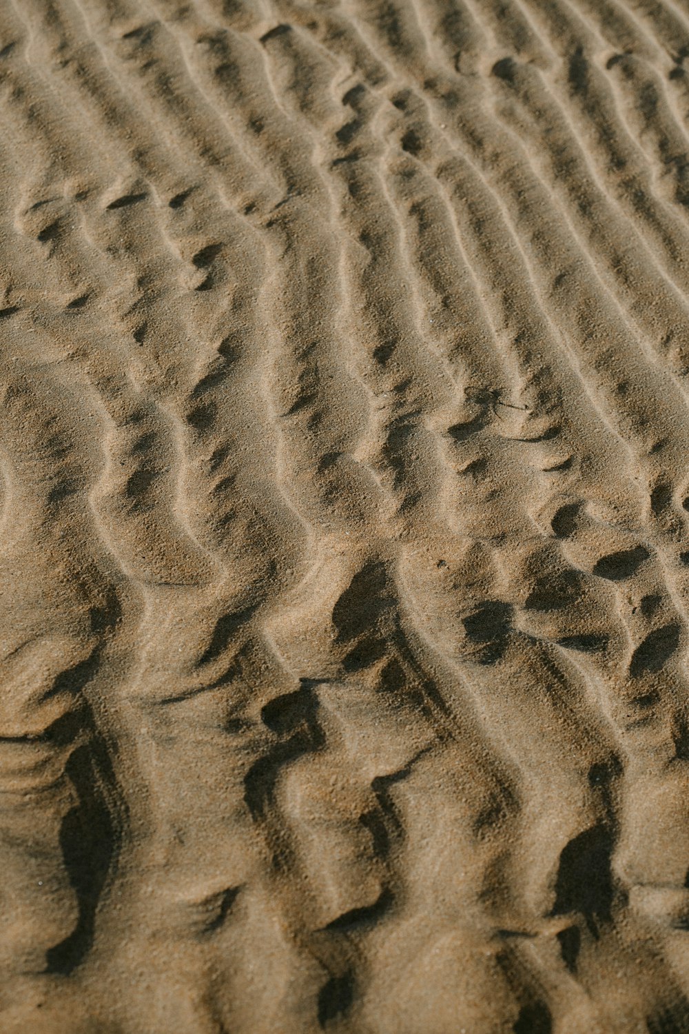 brown sand with footprints during daytime