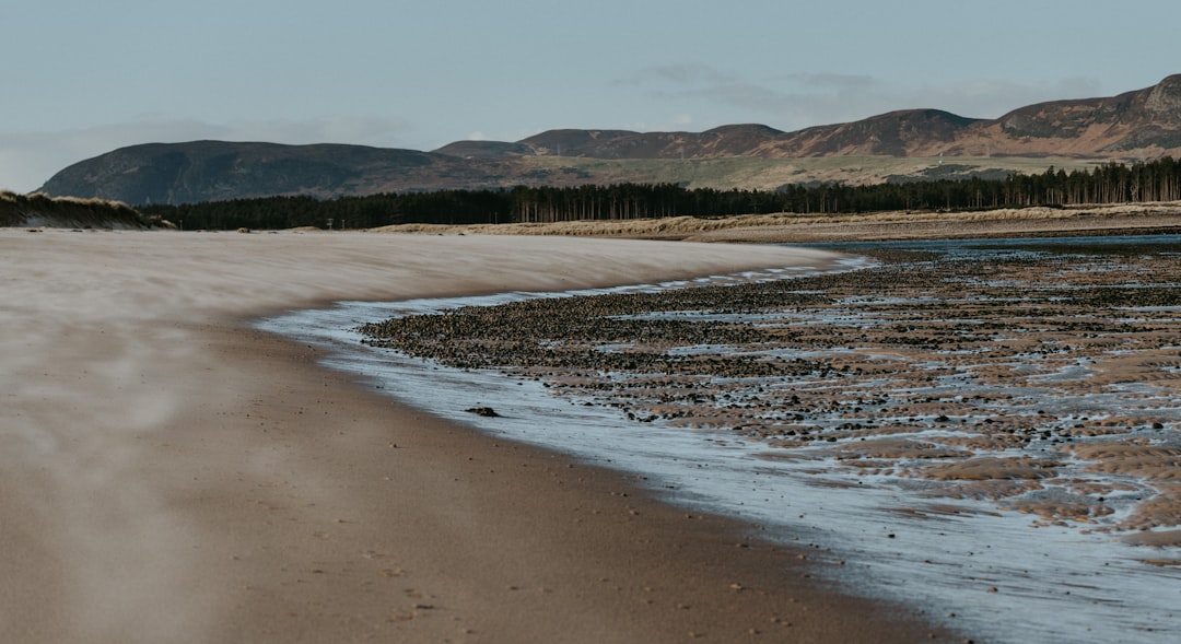 brown sand near body of water during daytime