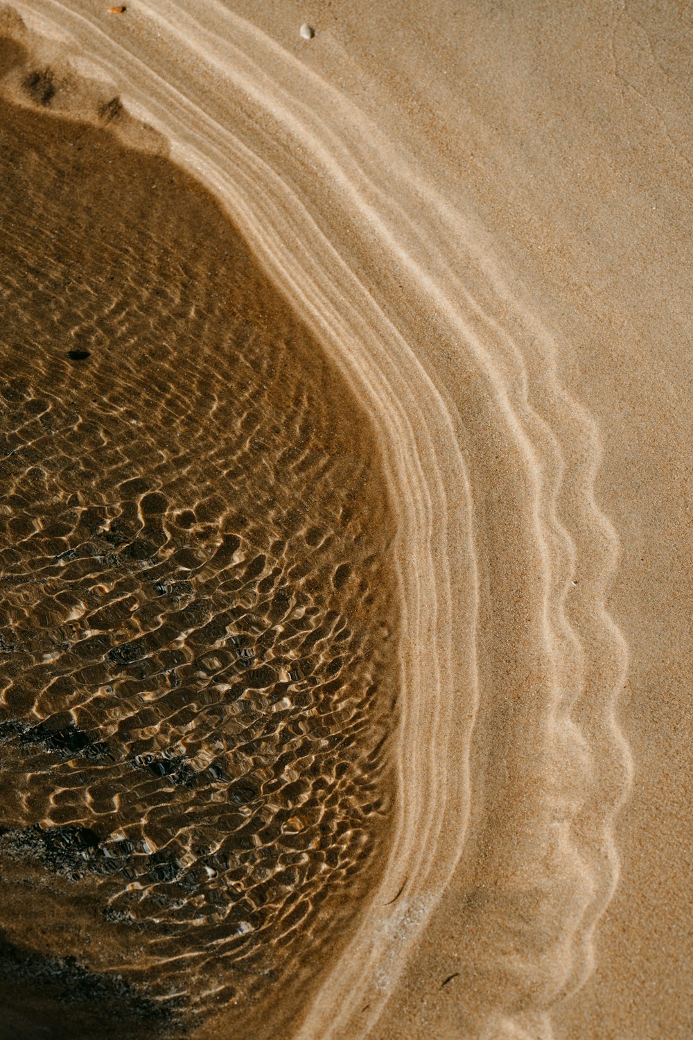 brown sand with water during daytime