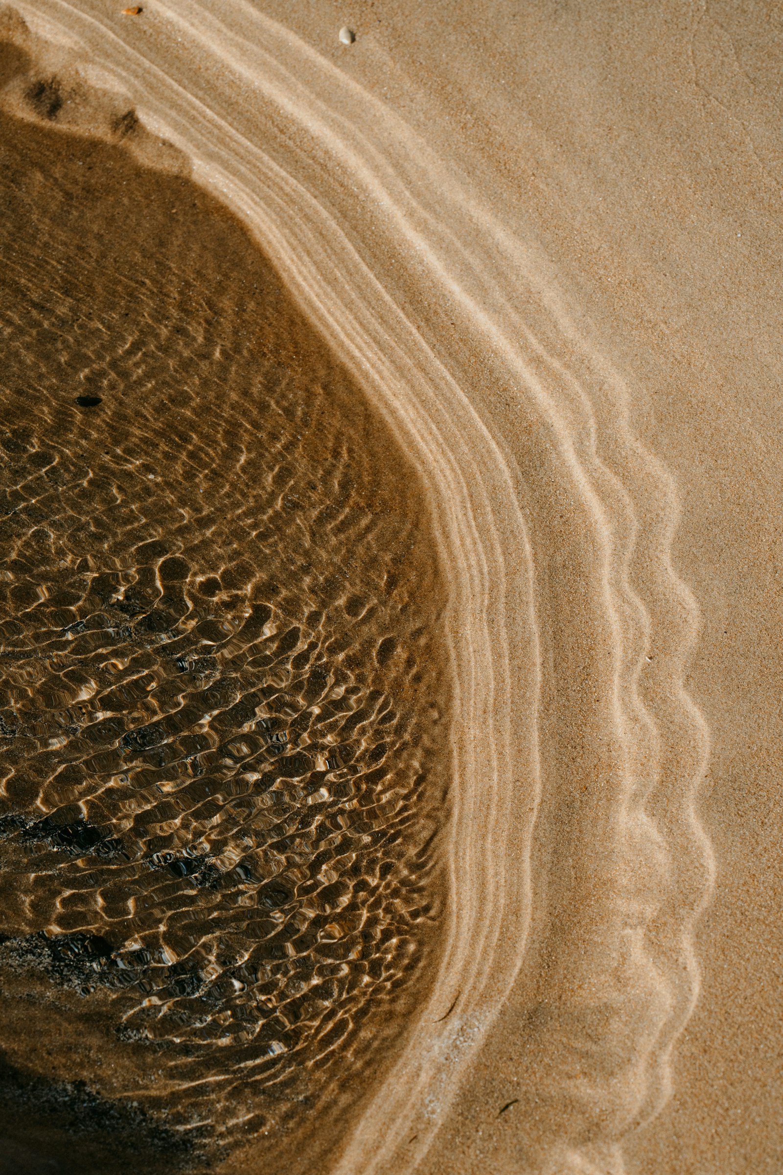 Canon EOS 6D Mark II + Canon EF 100mm F2.8 Macro USM sample photo. Brown sand with water photography