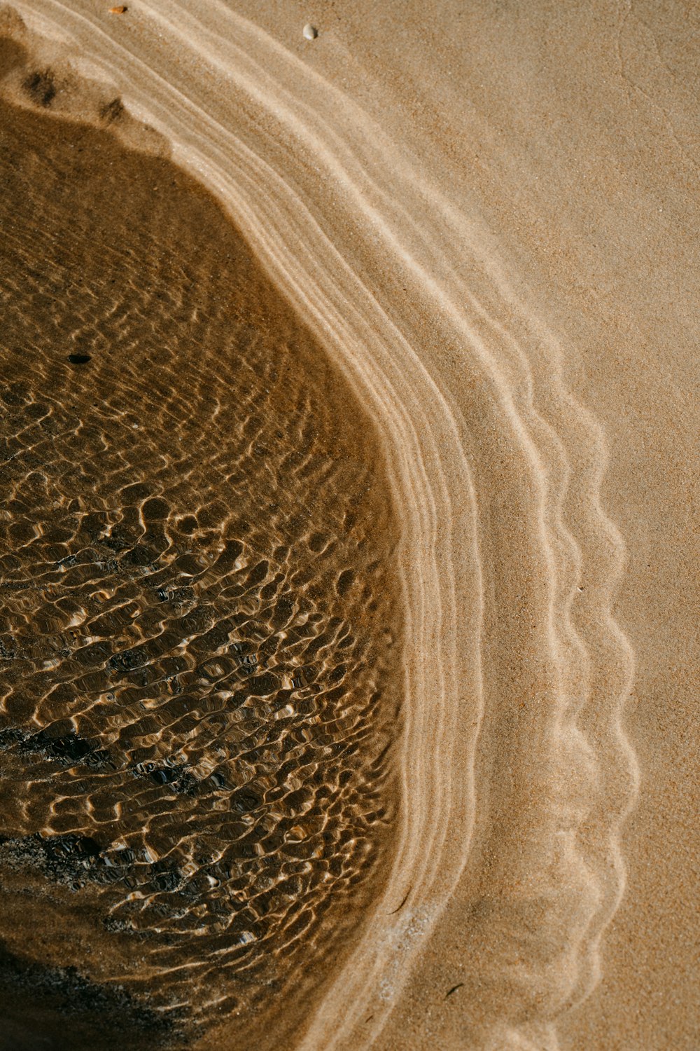 日中は水が溜まった茶色の砂浜