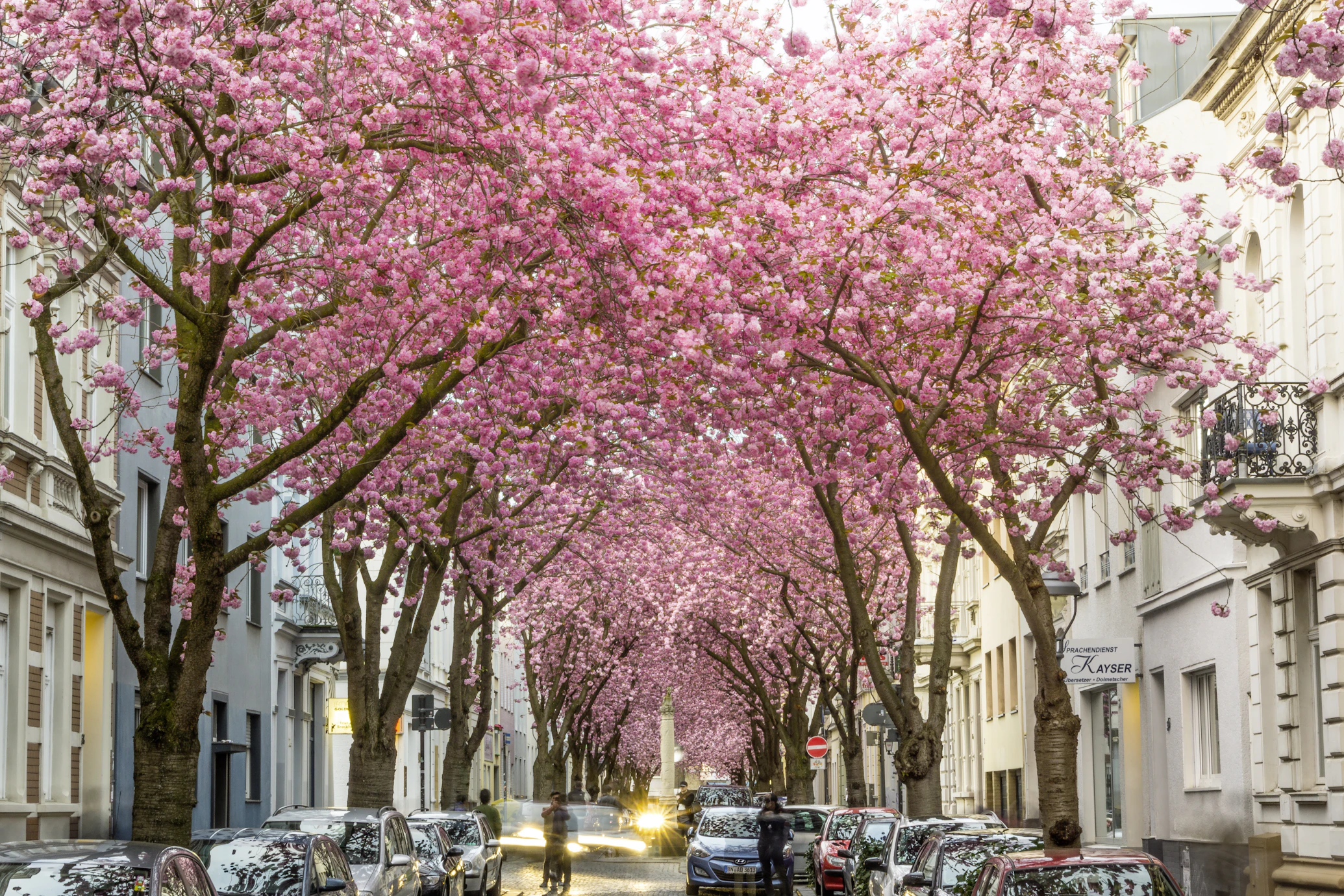 Bonn Altstadt und Universität