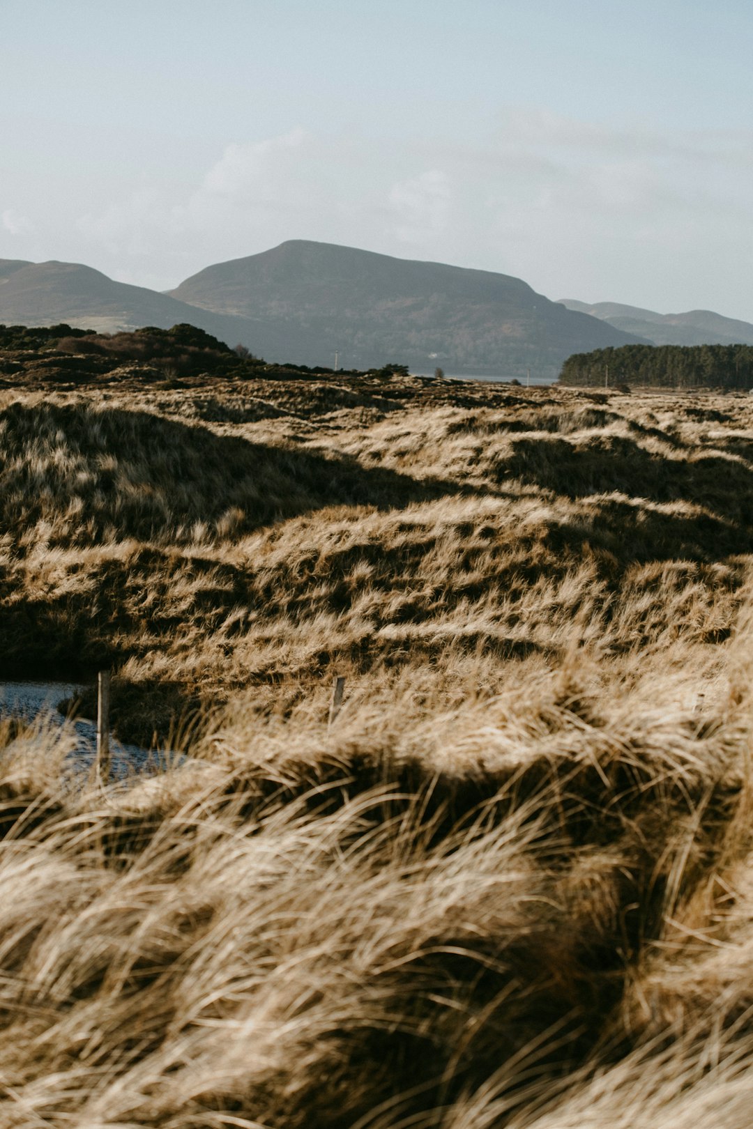 brown grass field near mountain during daytime