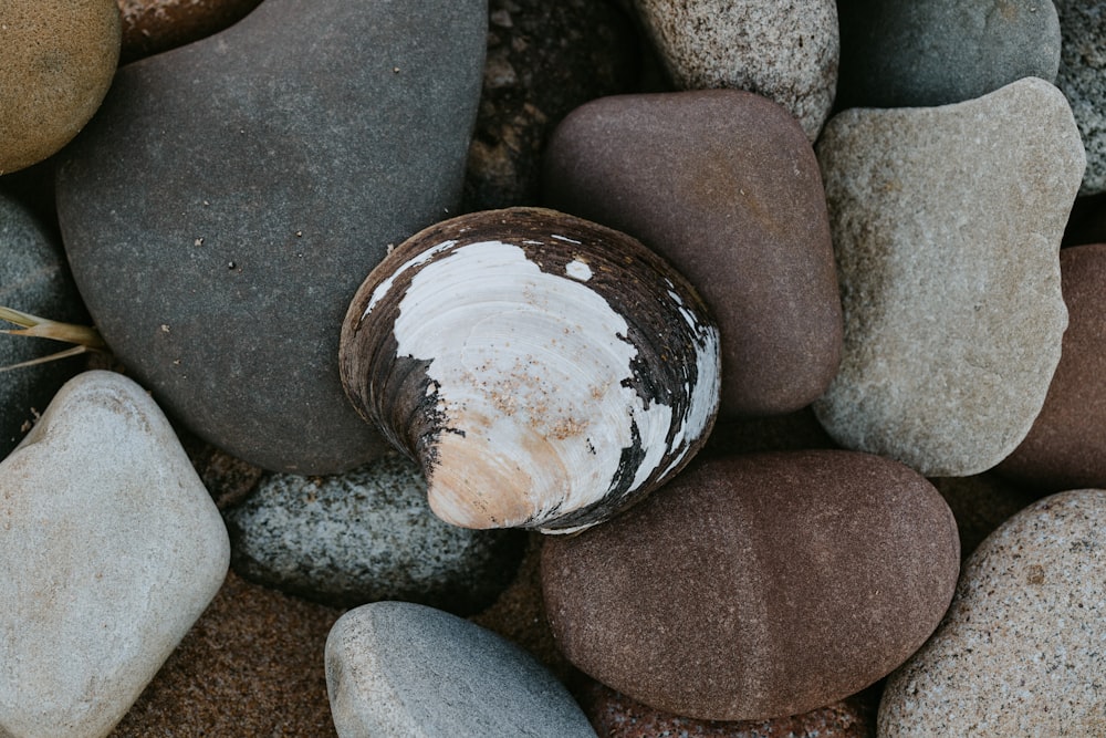 white and gray stone fragment