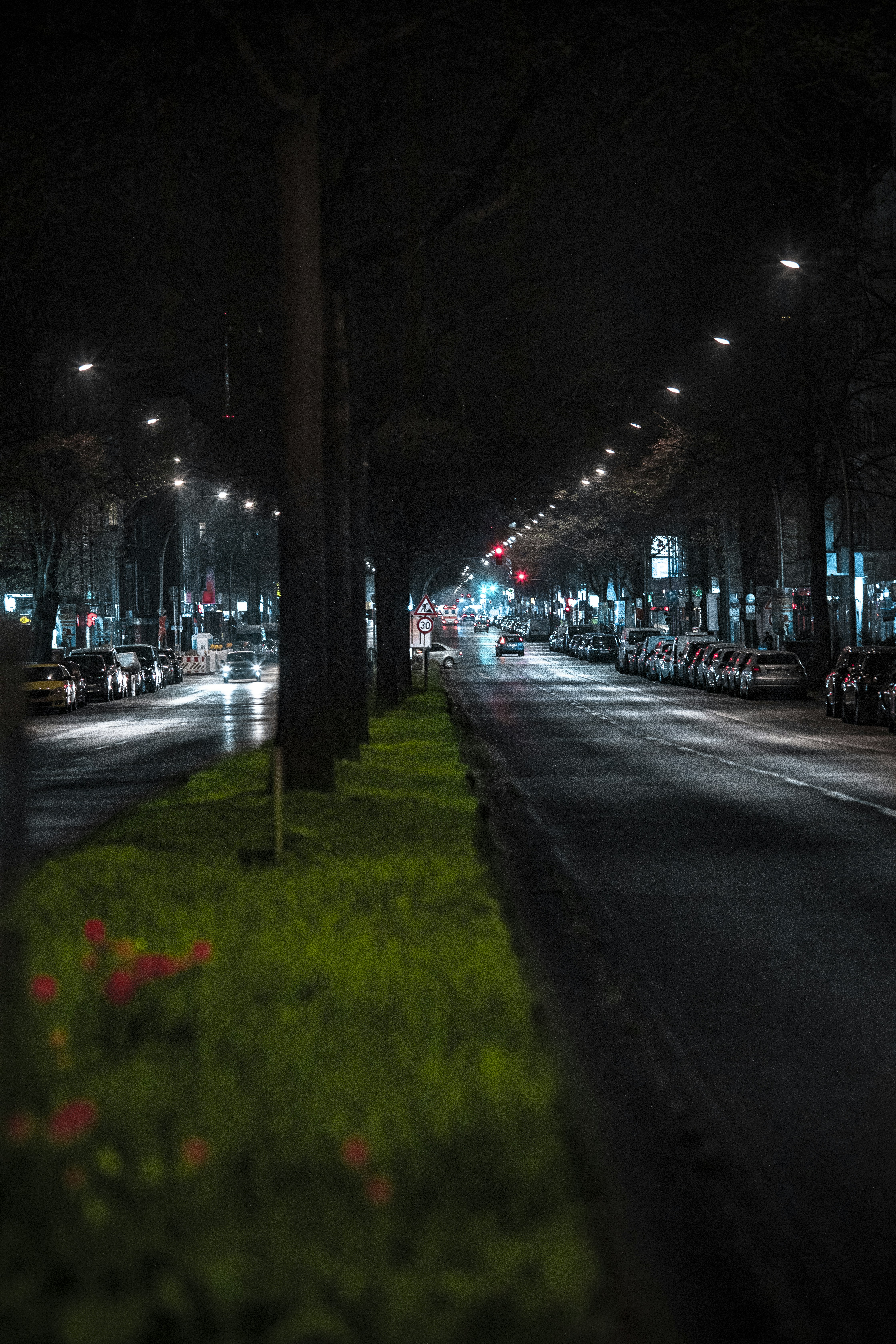 Photo by _king_louie_