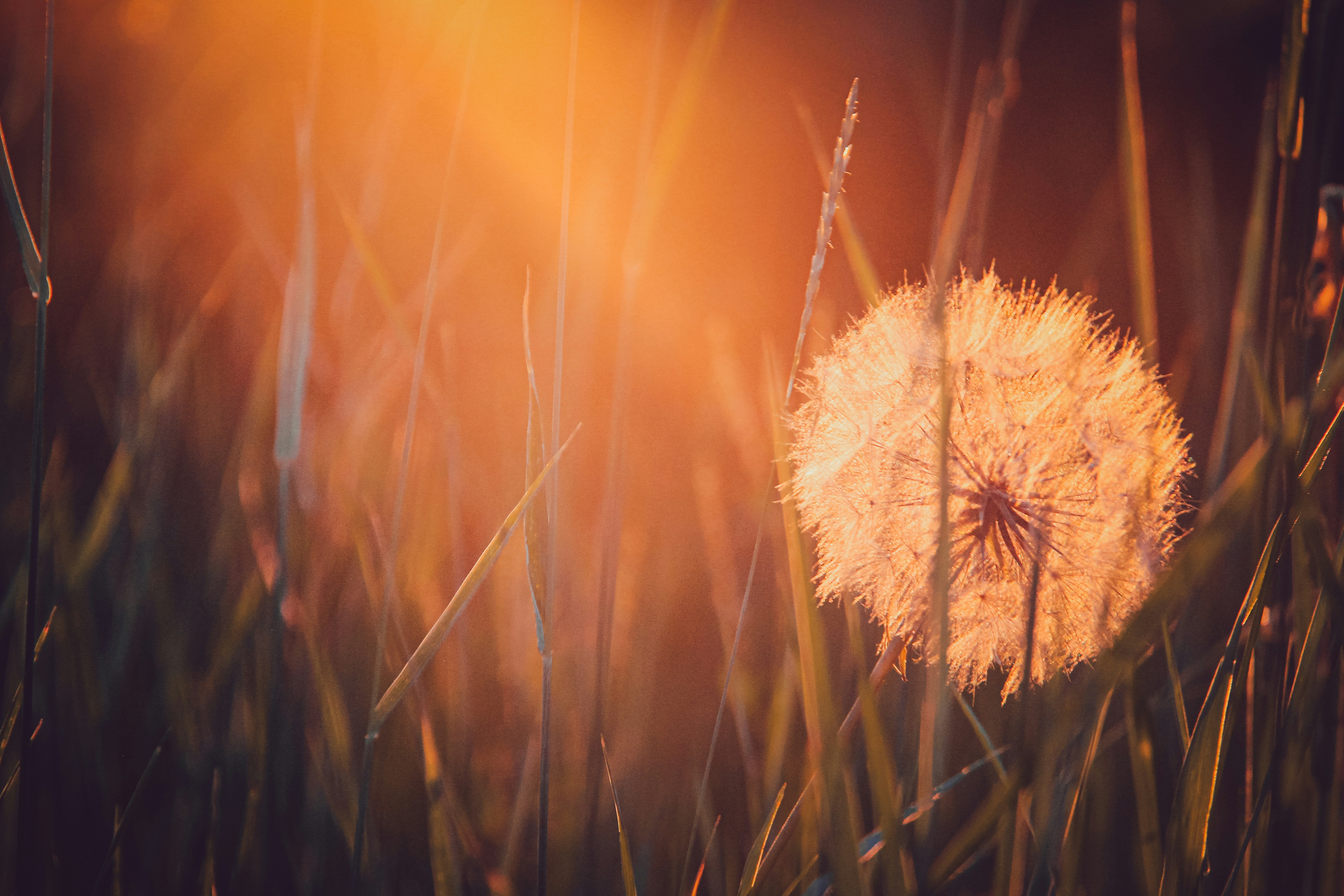 Photo by worldsbetweenlines