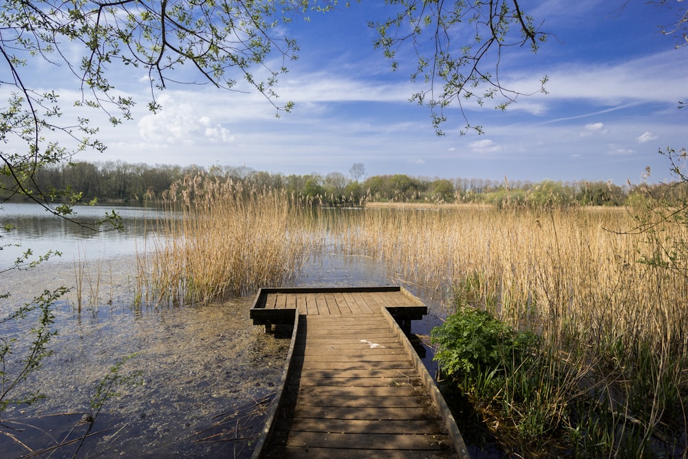 brown wooden dock on lake during daytime