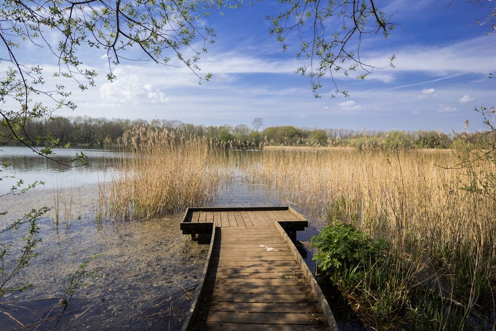 Muelle de madera marrón en el lago durante el día