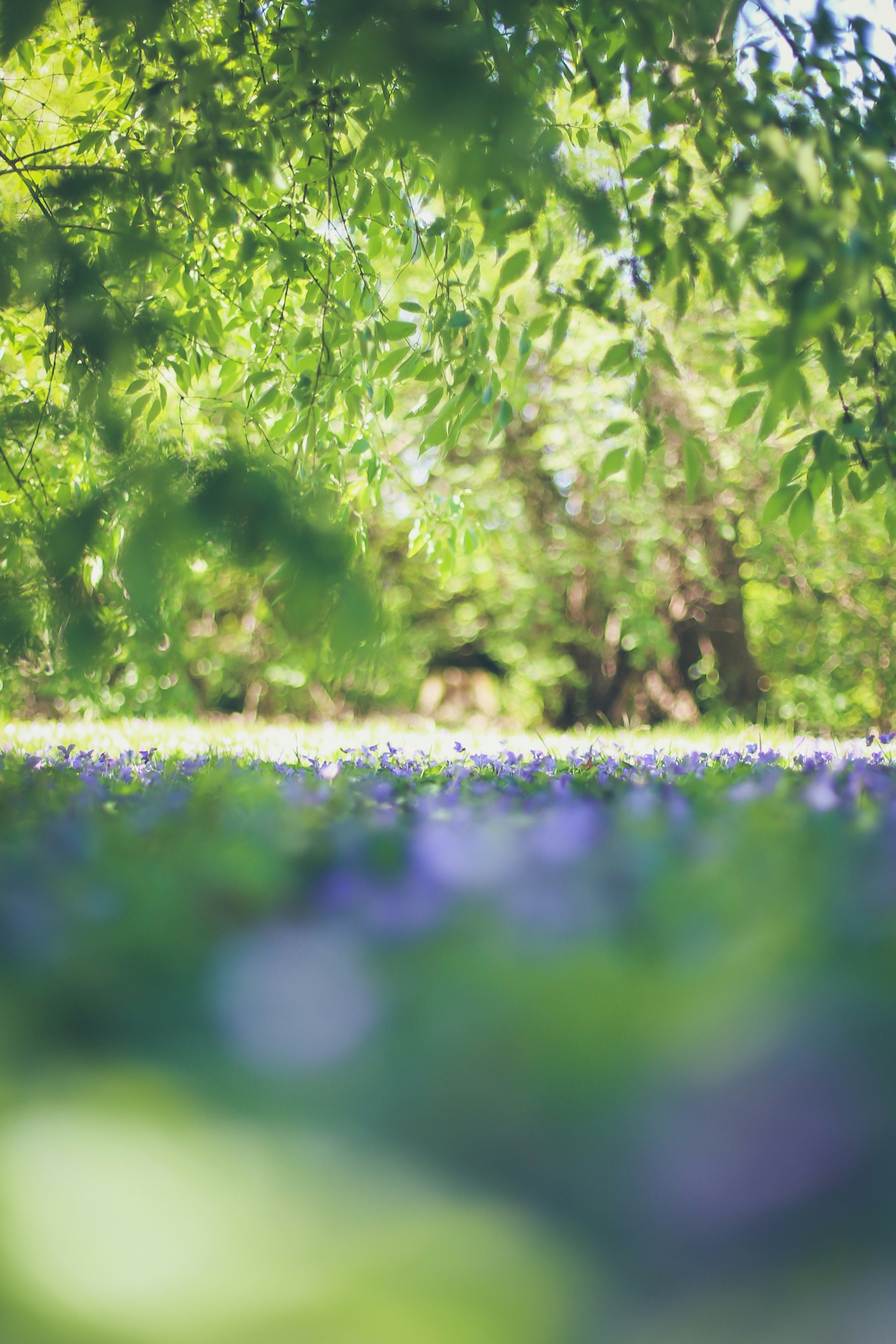 Photo by jessicalfadel