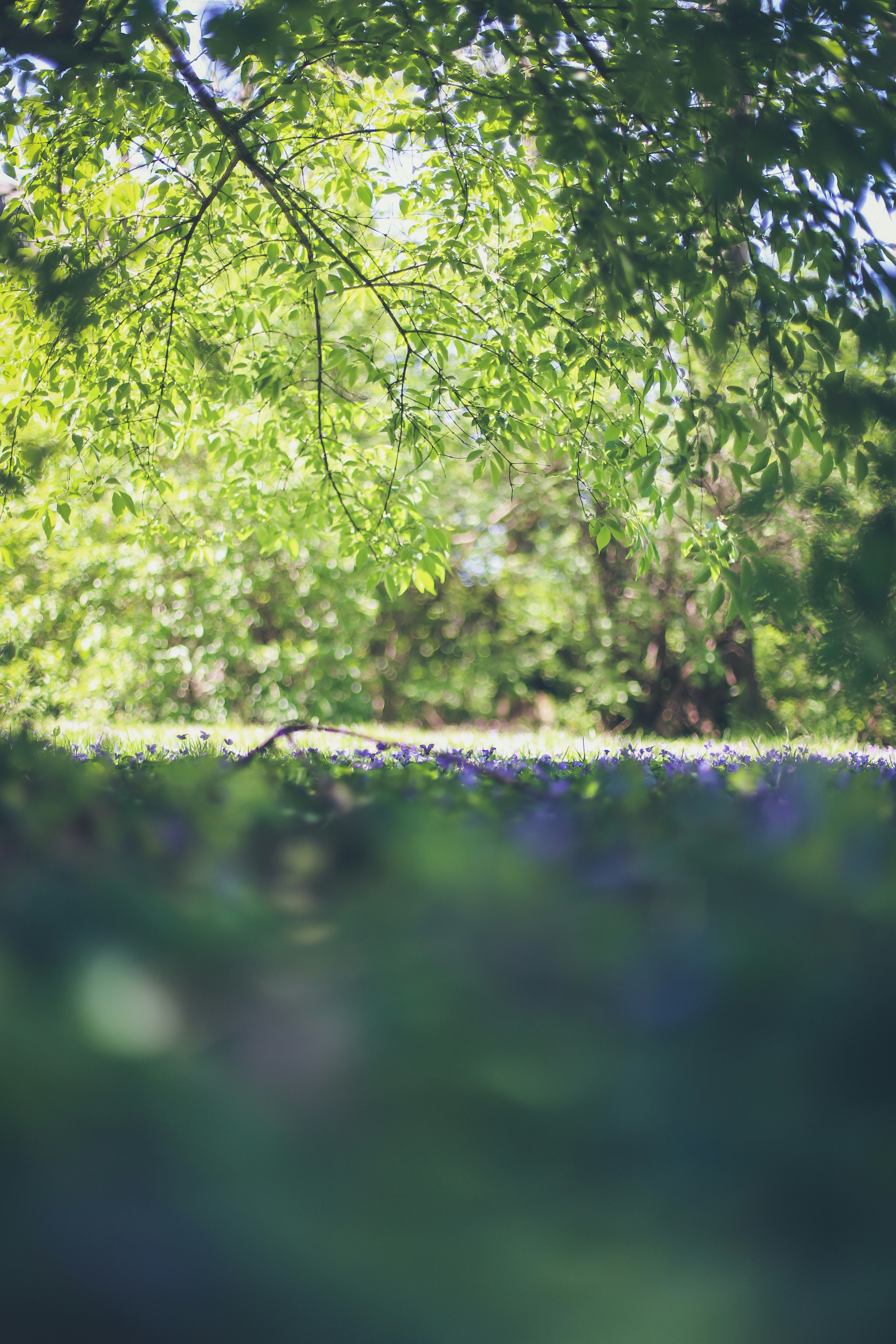 Photo by jessicalfadel