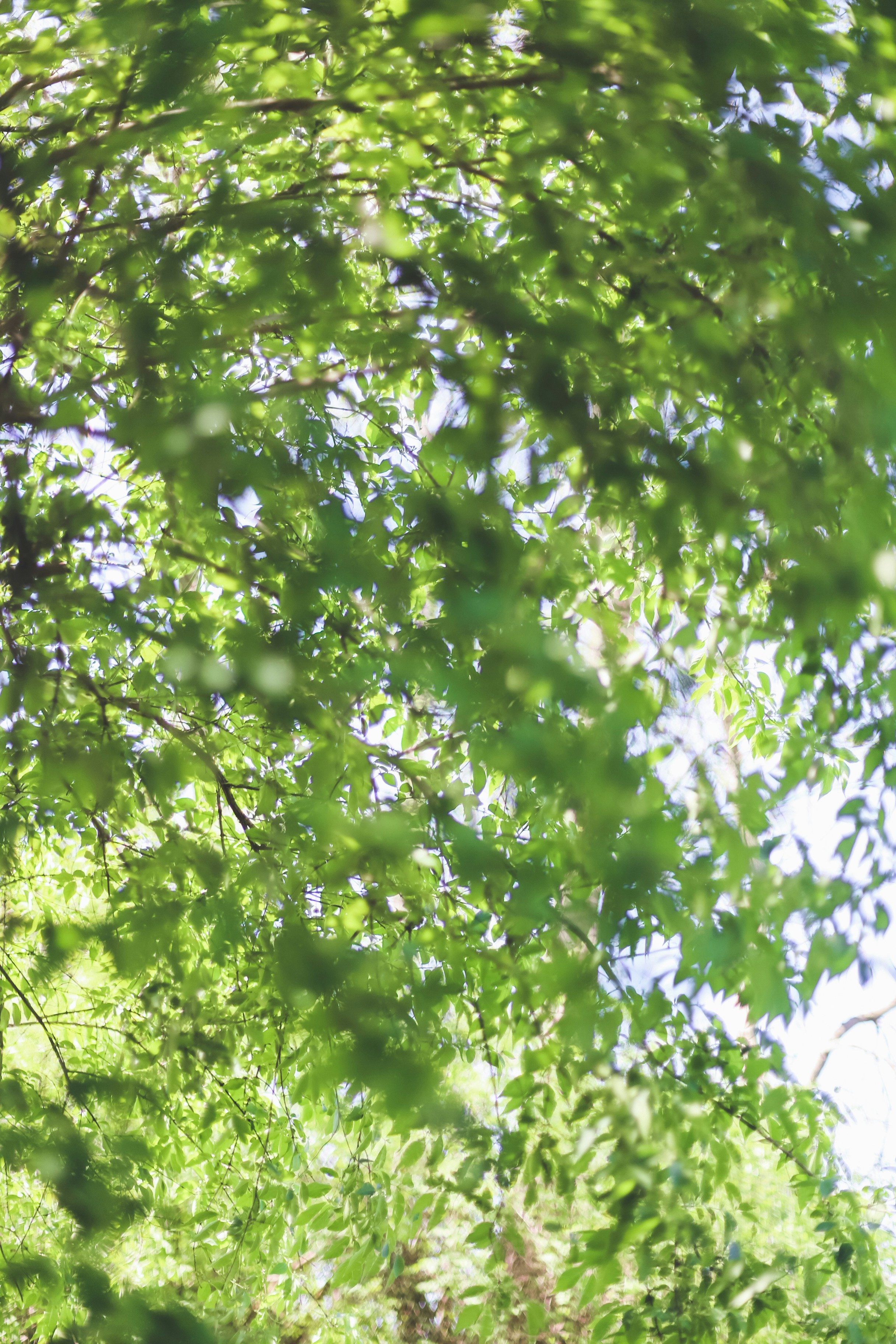 Photo by jessicalfadel