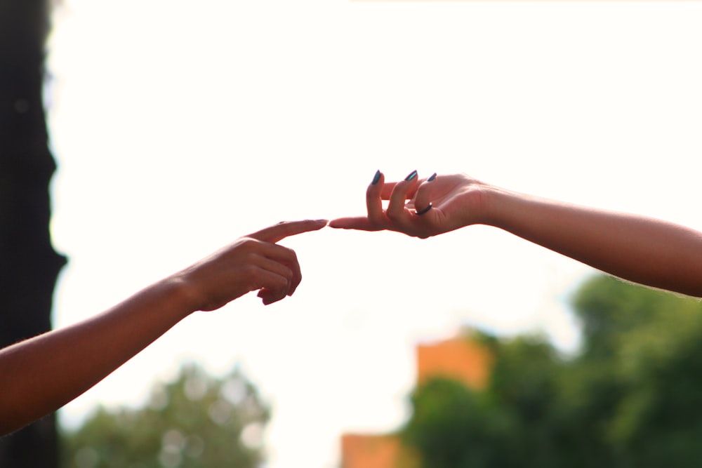 person holding hands during daytime