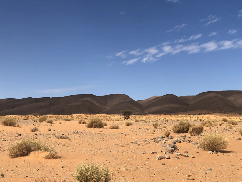 Hidden Biosphere Beneath Atacama Desert Reveals Secrets of Extraterrestrial Survival