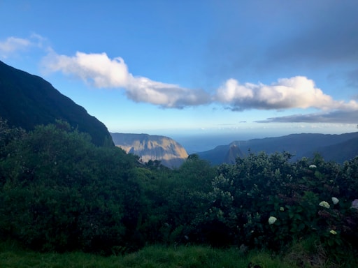 A serene landscape with lush greenery and a clear blue sky.