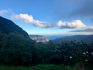 A serene landscape showcasing lush greenery and a clear blue sky.