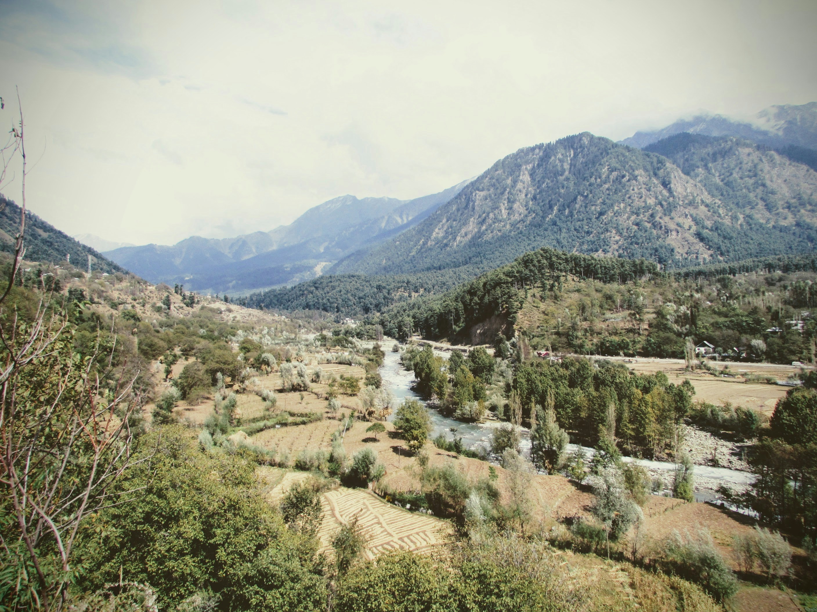green trees on mountain under white clouds during daytime