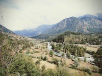 Best Luxury Hotels and Resorts in Chail for a Truly Elevated Stay