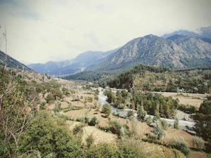Chail