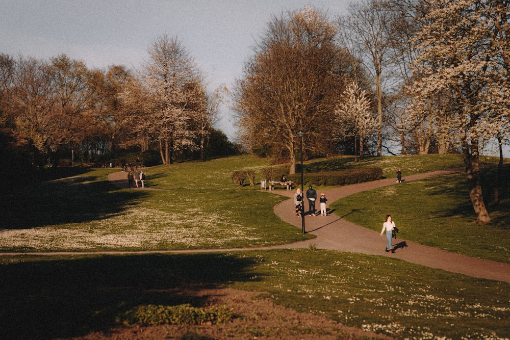 Personas caminando por el parque durante el día