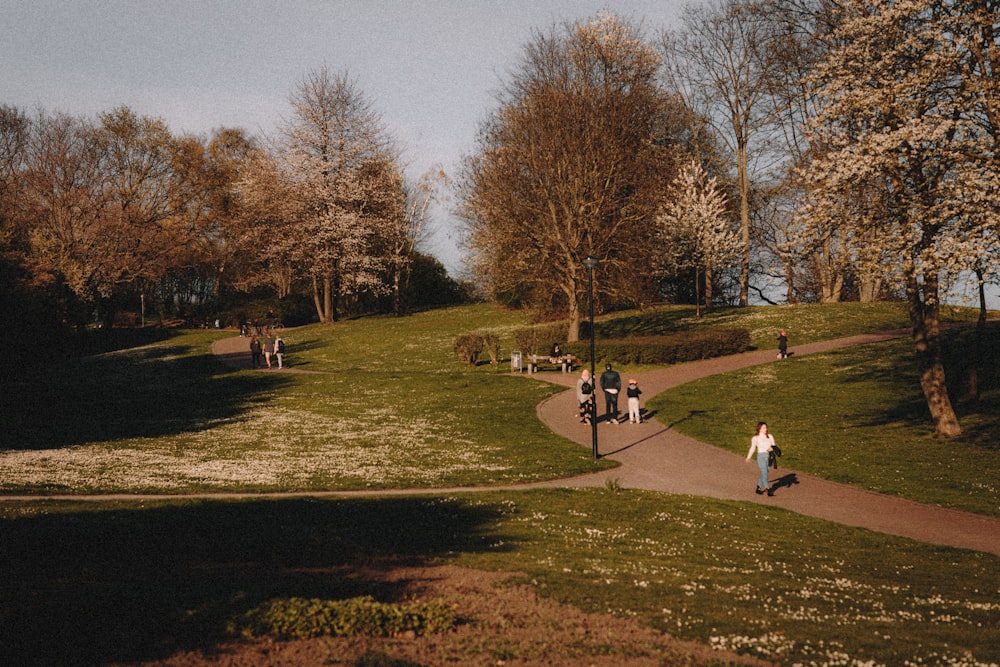 people walking on park during daytime