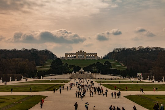 people on green grass field during daytime in Schönbrunn Garden Austria