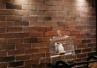 black metal armchair beside brown brick wall