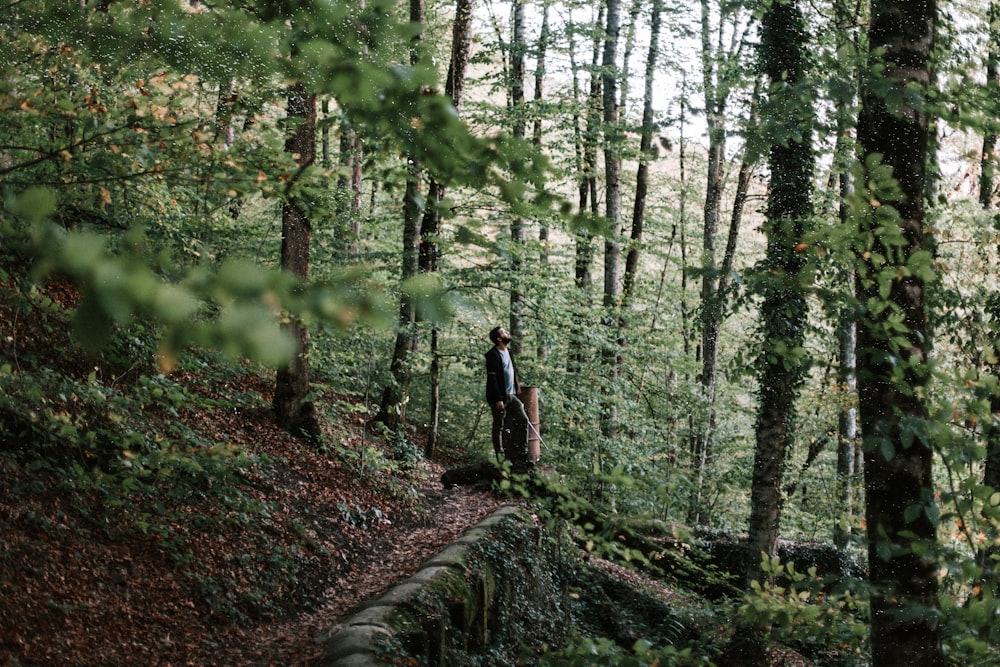 Persona in giacca nera che cammina su un sentiero nel bosco durante il giorno