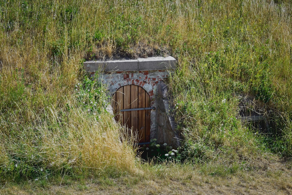 Braune Holztür auf grünem Rasenfeld