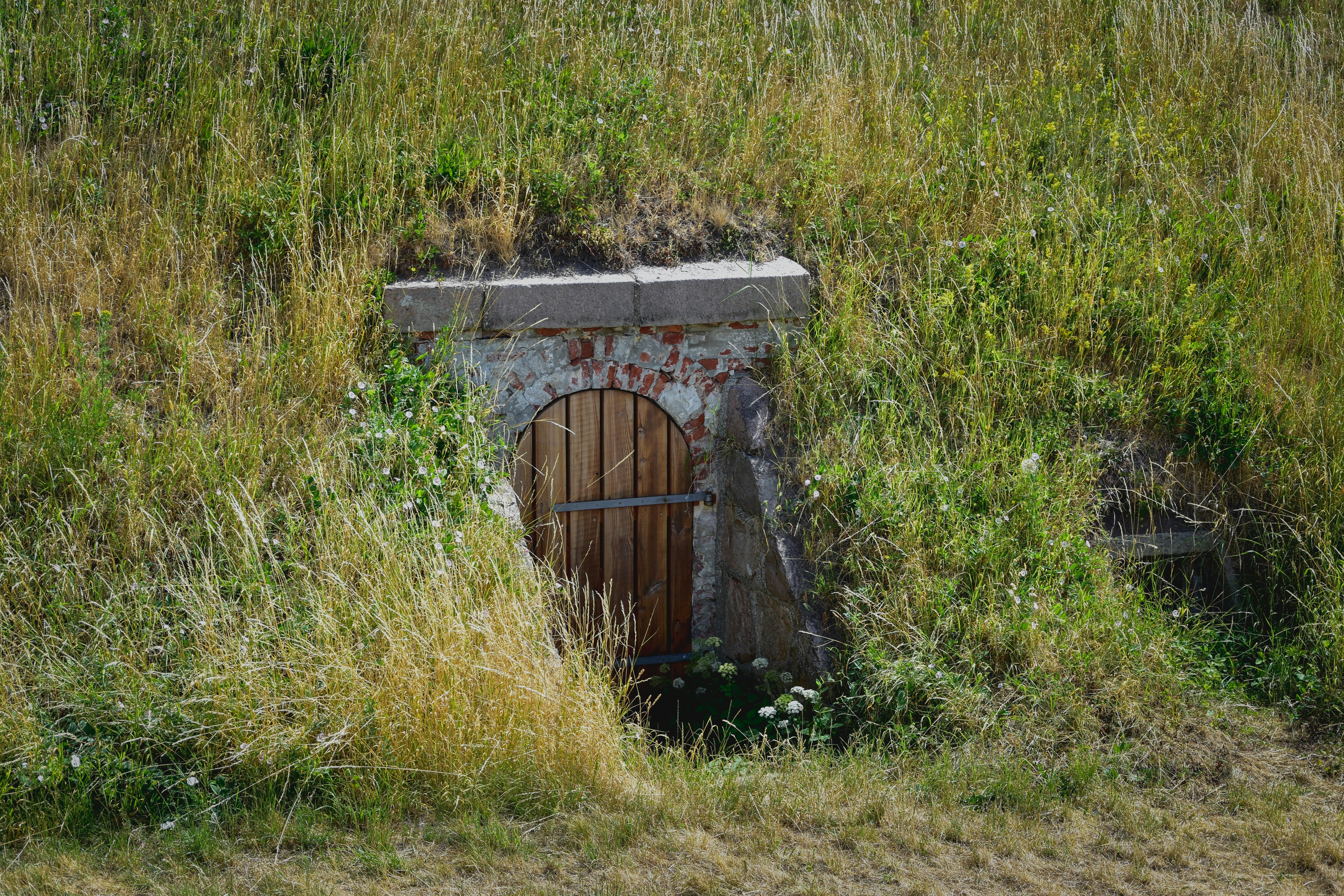 brown wooden door on green grass field
