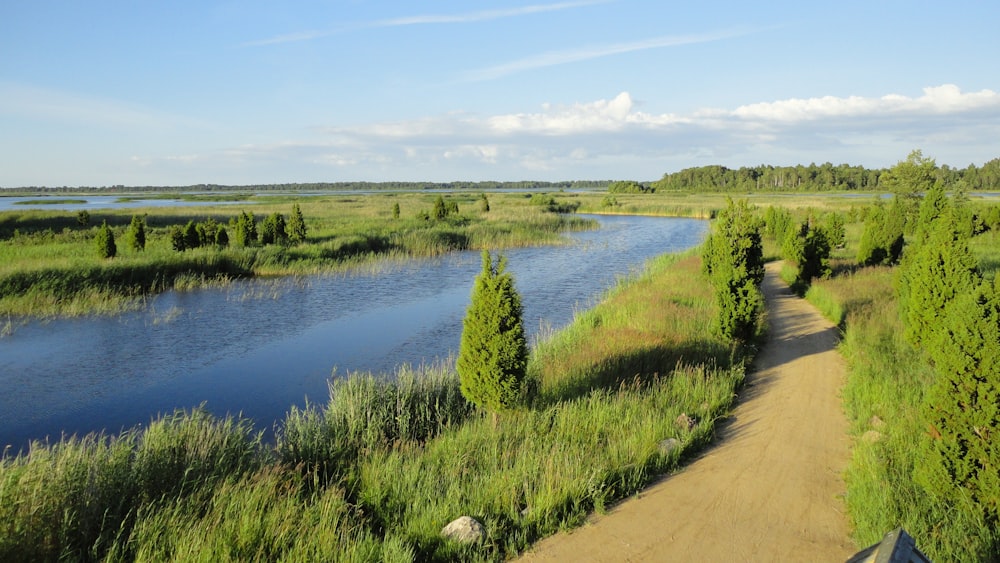 green grass field near river under blue sky during daytime