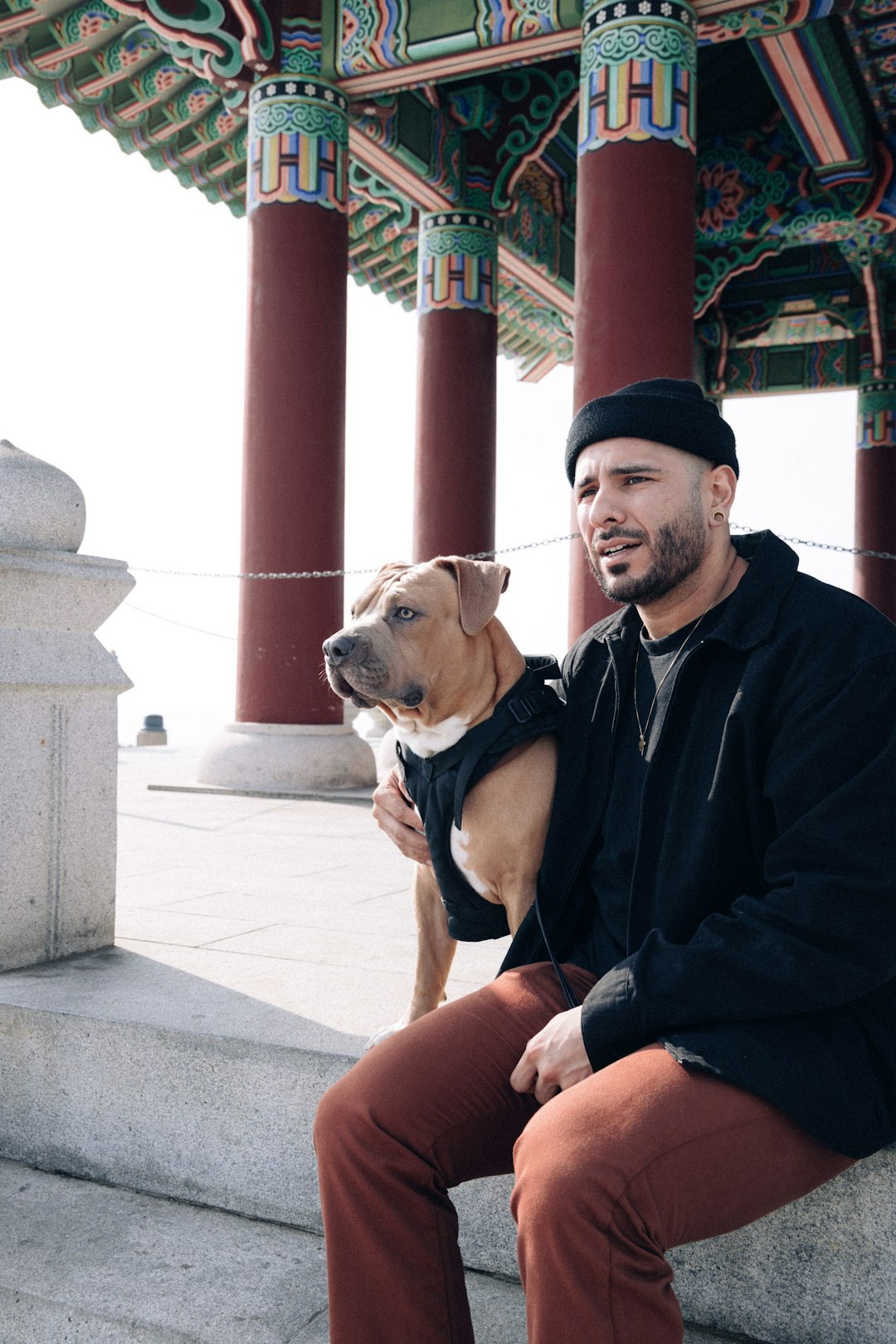 man in black jacket sitting beside brown and white short coated dog