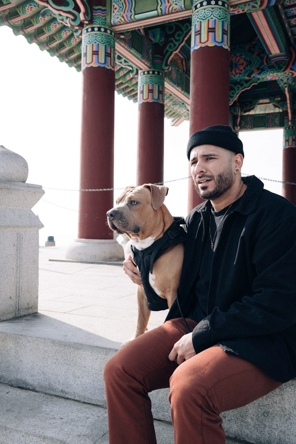 man in black jacket sitting beside brown and white short coated dog