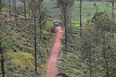 A rugged SUV driving along a winding mountain road surrounded by lush greenery.