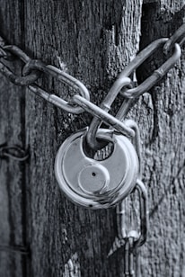 gray scale photo of chain link fence