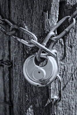 gray scale photo of chain link fence