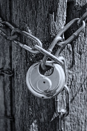 gray scale photo of chain link fence