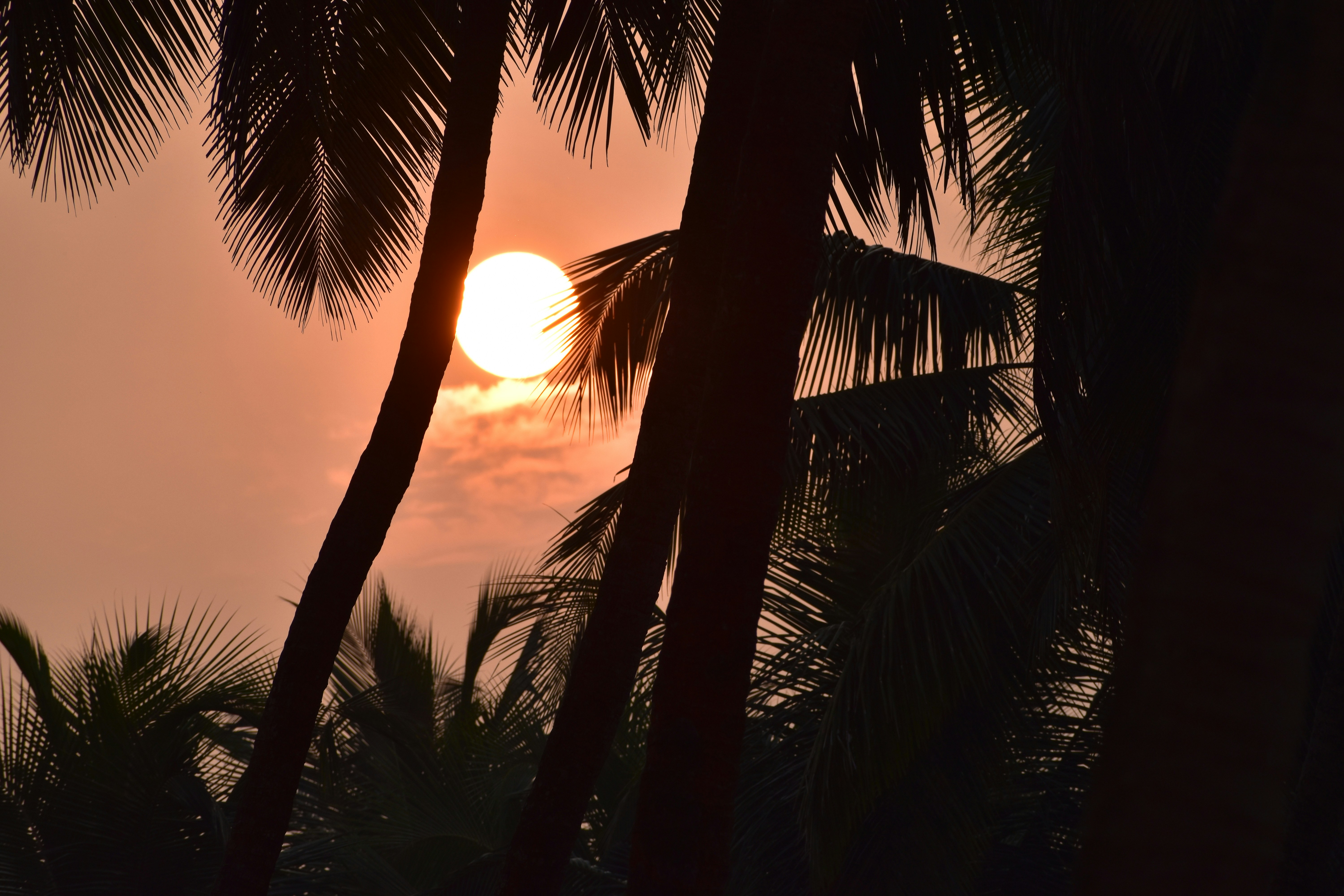 Photo by __pe_ri_pa_te_ti_c__