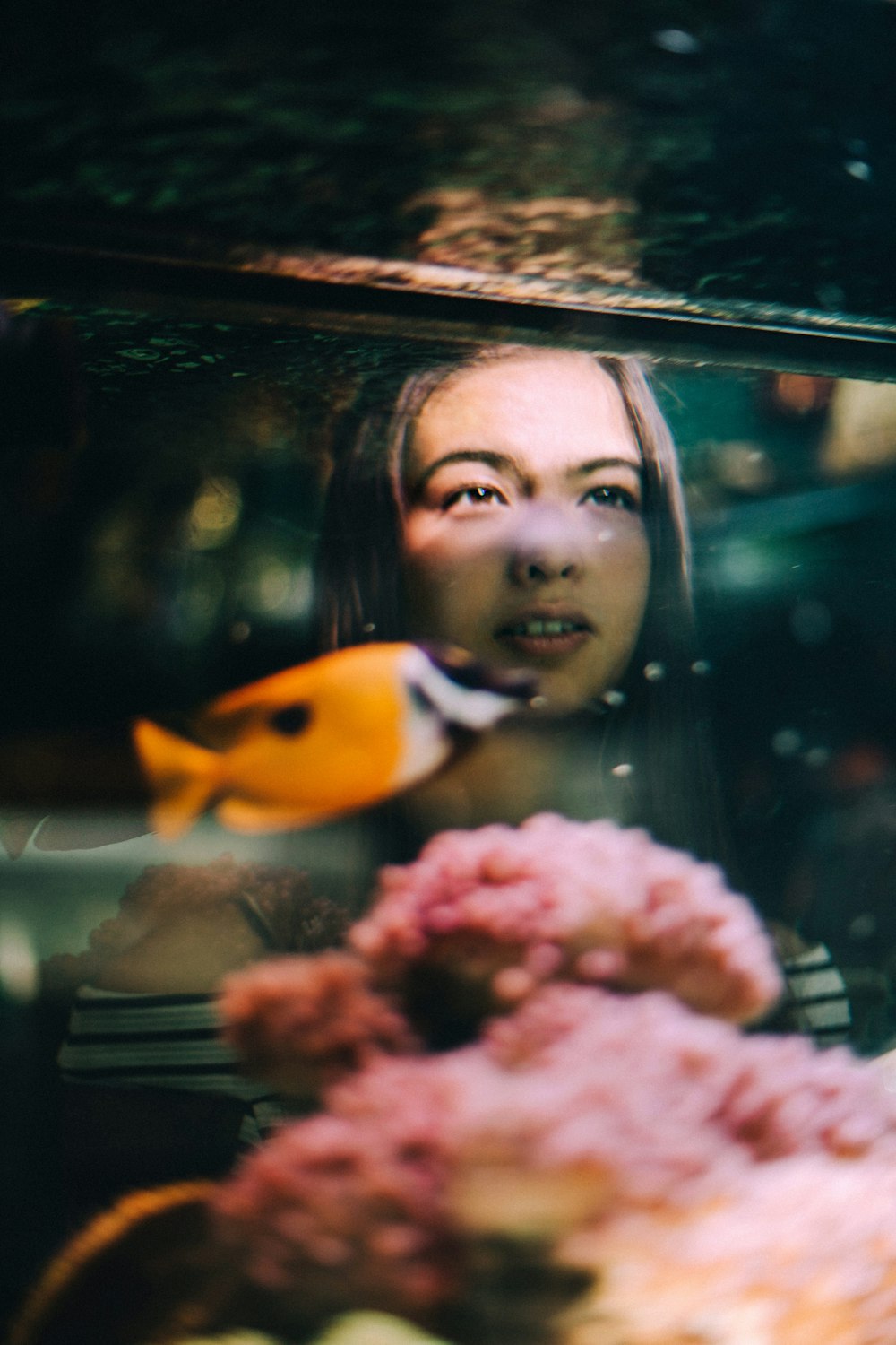 woman holding orange and black fish