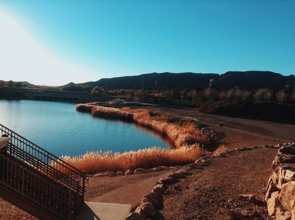 brown wooden fence near body of water during daytime