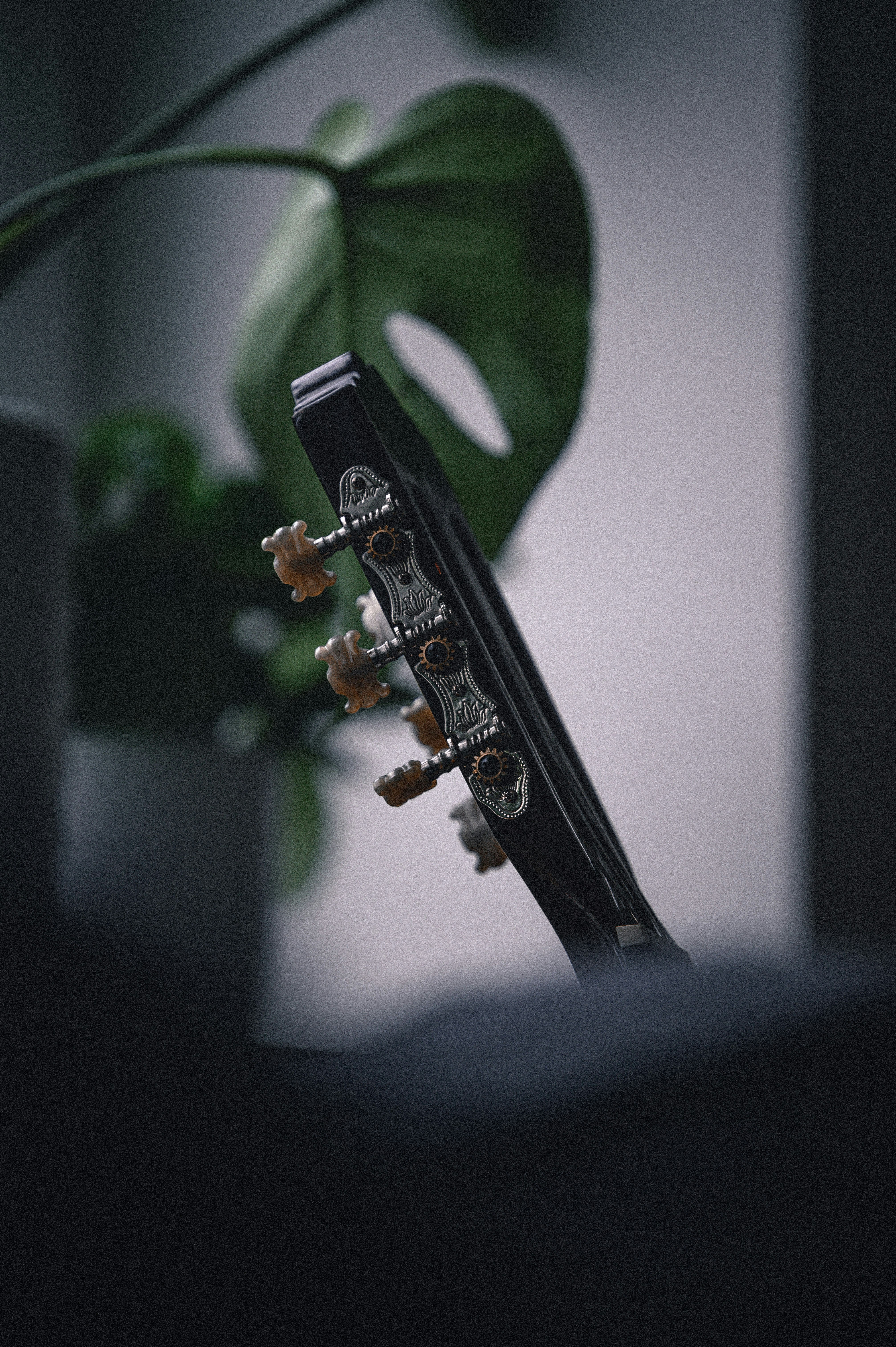 Photo by lachlangowen