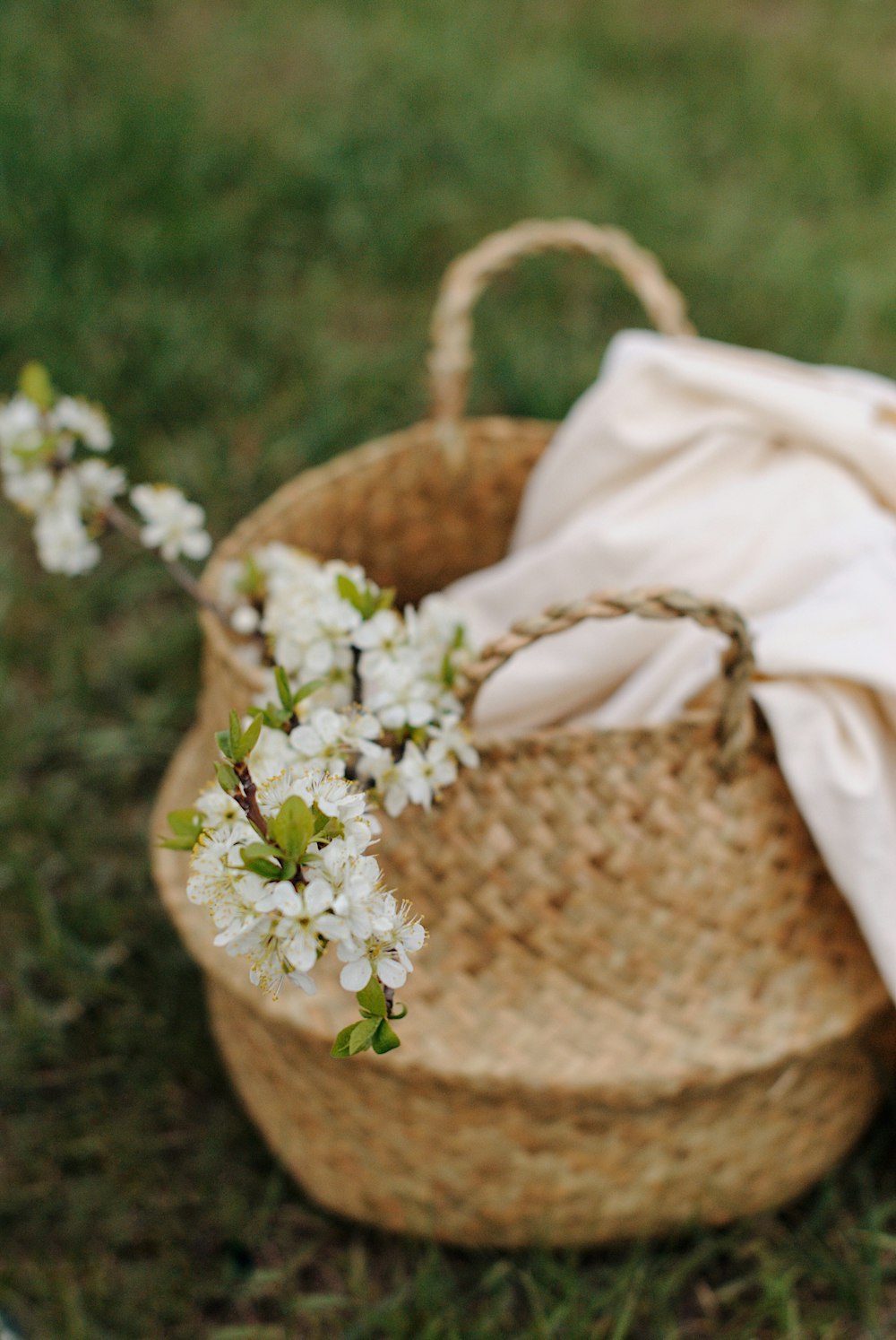 white flowers in brown woven basket